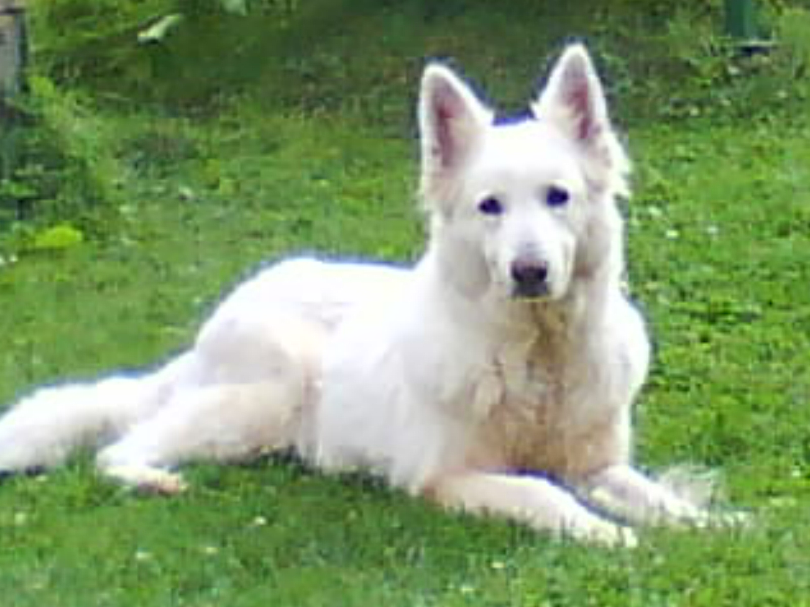 DSC01005.JPG