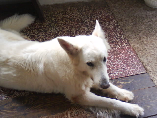 DSC00567.JPG