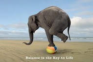 plakaty-balance-is-the-key-to-life-9559.jpg