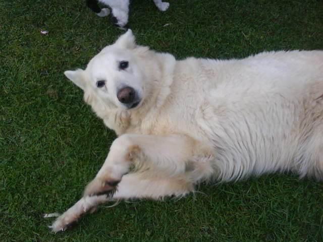 DSC01840.JPG