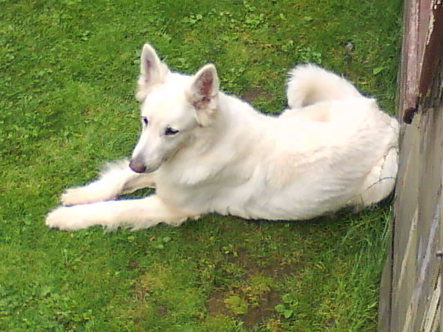 DSC00580.JPG