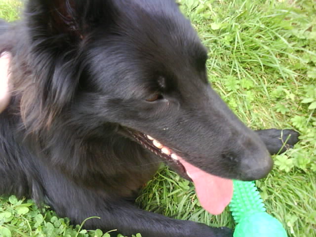 DSC02794.JPG