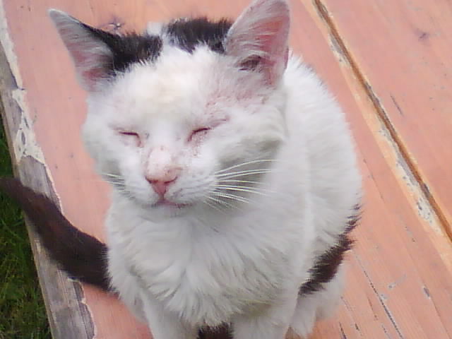 DSC00748.JPG