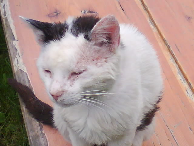 DSC00749.JPG