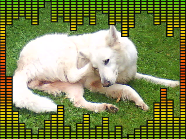 DSC00771.JPG