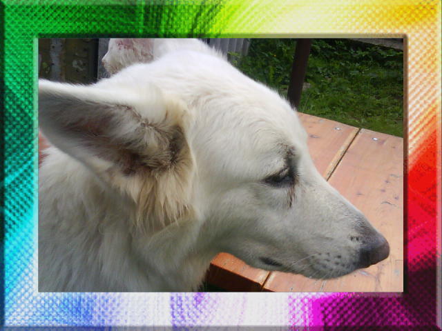 DSC00794.JPG