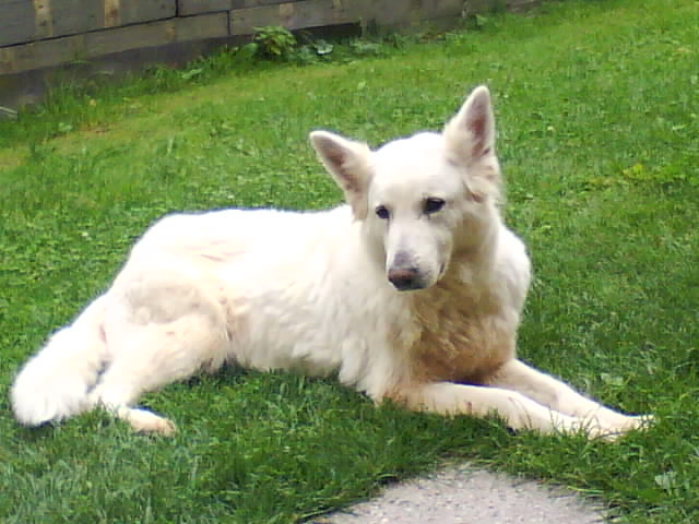 DSC00867.JPG
