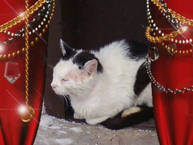 DSC00922.JPG