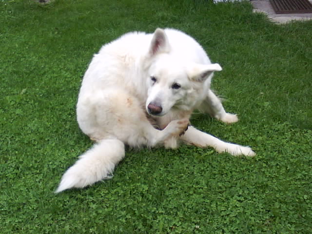 DSC00933.JPG