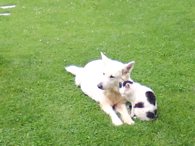 DSC00943.JPG