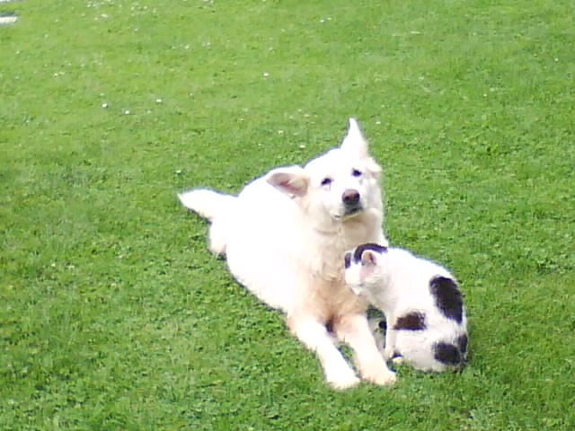 DSC00944.JPG