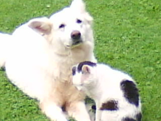 DSC00945.JPG