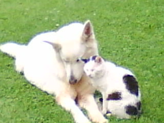 DSC00946.JPG