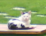 DSC00947.JPG