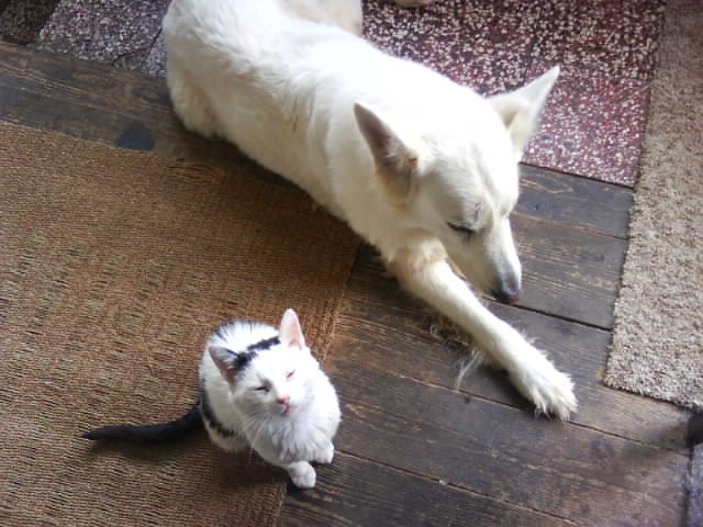 DSC00948.JPG