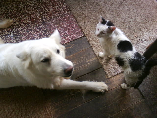 DSC00949.JPG