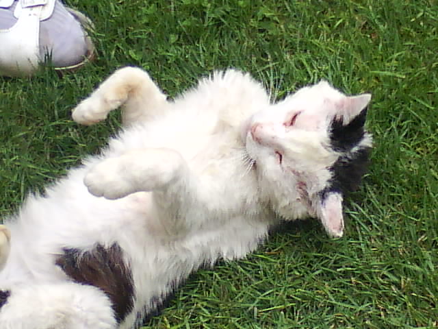 DSC00973.JPG
