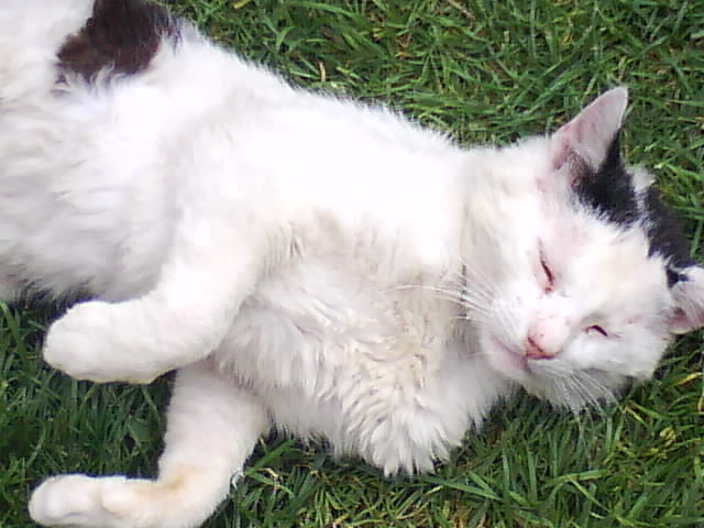 DSC00977.JPG