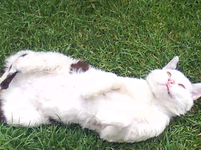 DSC00980.JPG