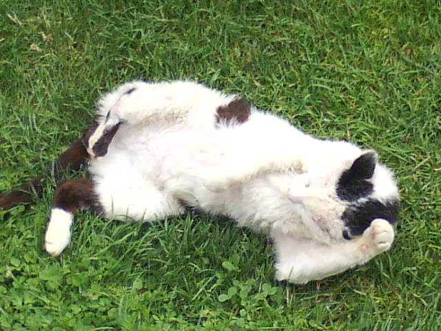 DSC00982.JPG