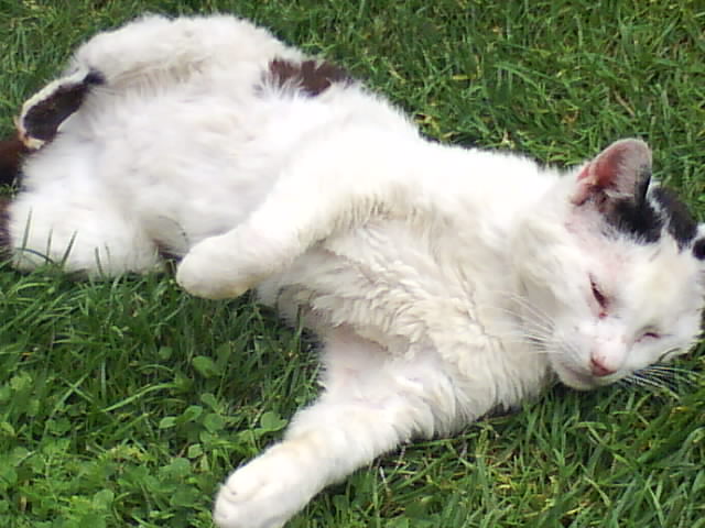 DSC00984.JPG