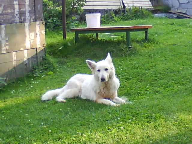 DSC00995.JPG