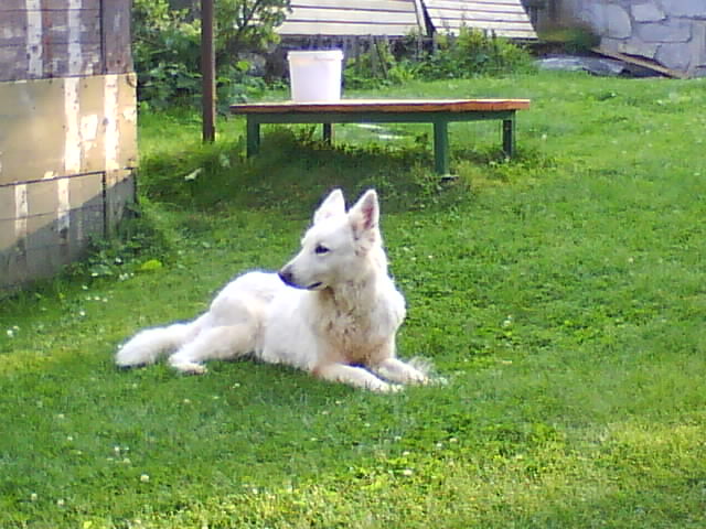 DSC01000.JPG