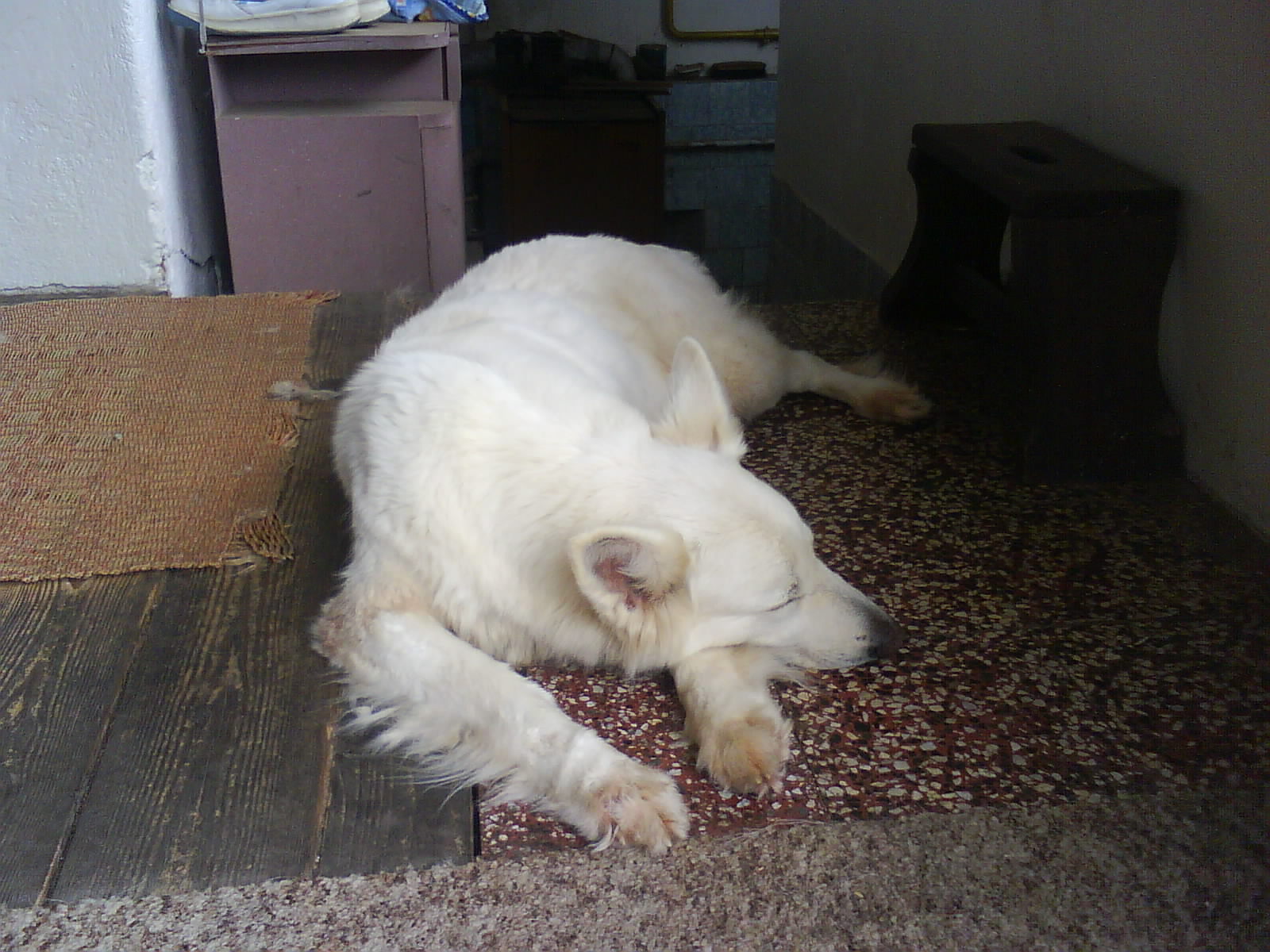 DSC00122.JPG