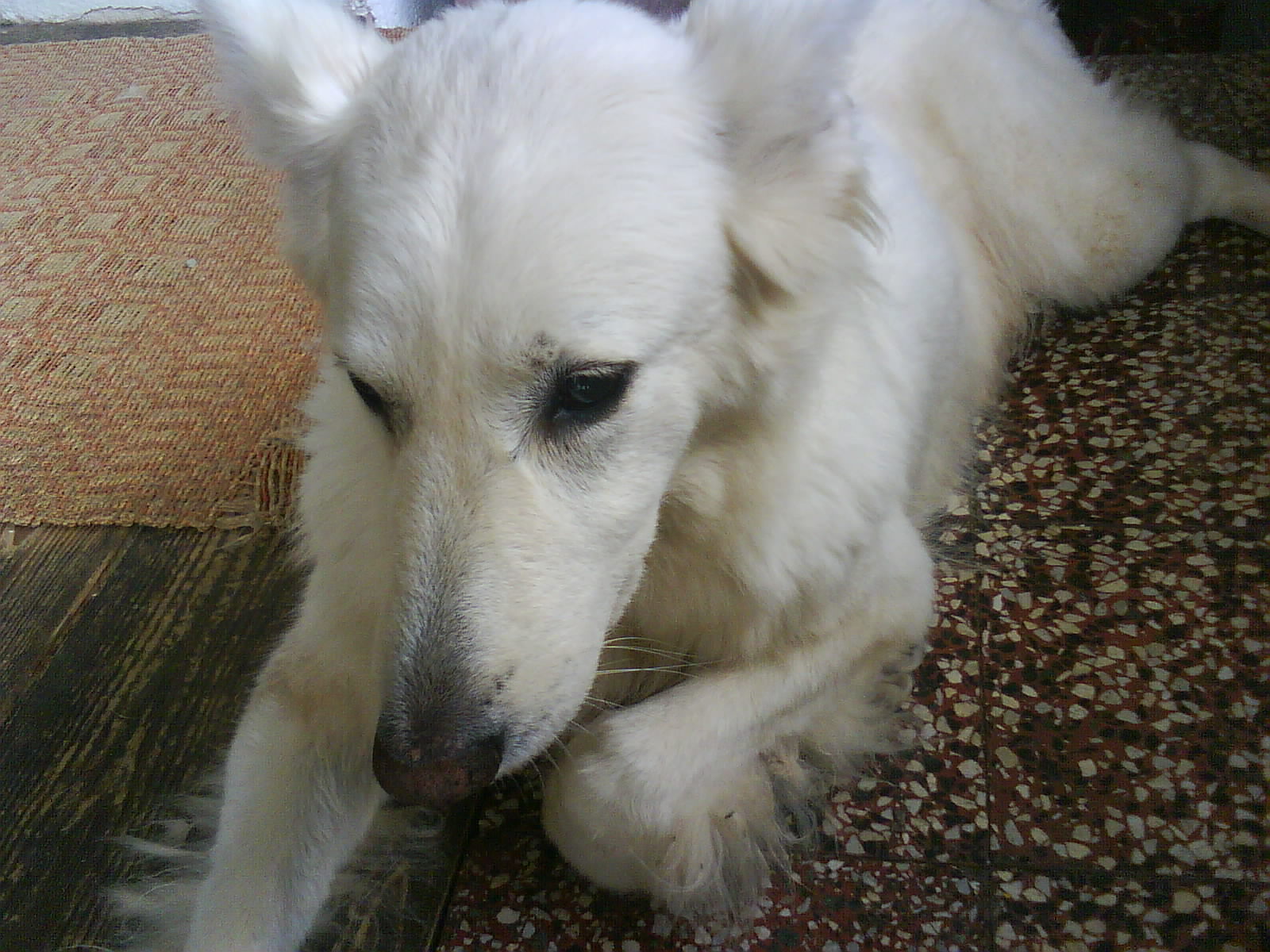 DSC00125.JPG