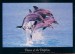 plakaty-dance-of-the-dolphins-2249.jpg